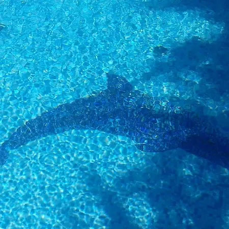 Belvedere Apartamento Lovran